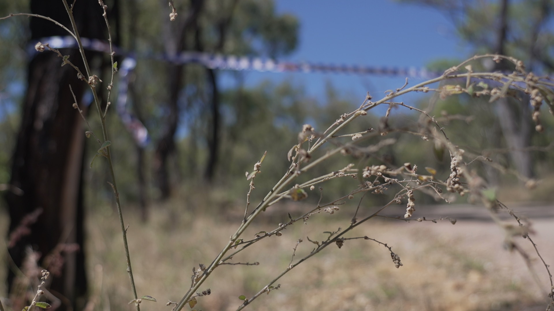 Police tape is strung between two trees across a country road