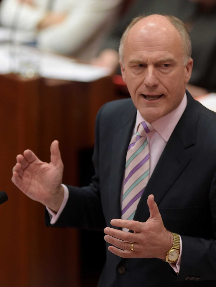 Senator Eric Abetz speaking during Question Time.