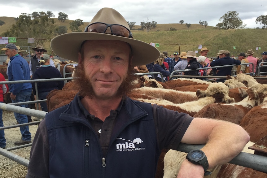 A man with a red beard leans against a cattle pen
