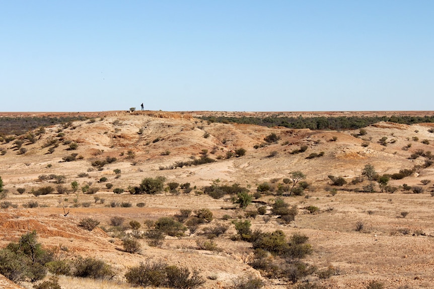 Ian Andrews standing on a small hill, being dwarfed by huge distances in Queensland's channel country.