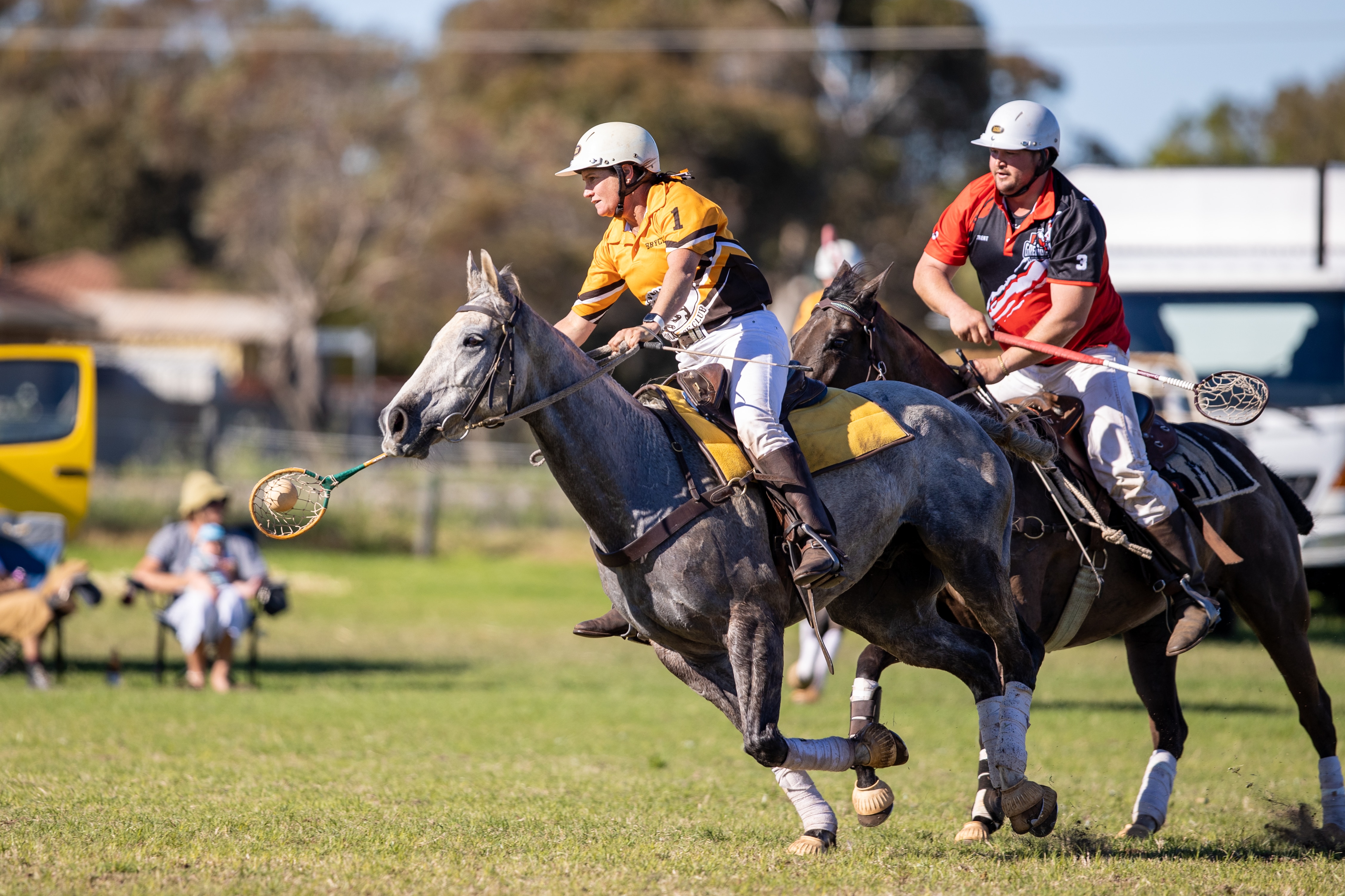 A woman on a white horse catches the ball with her polocrosse racquet. A male player on a brown horse is close behind her. 
