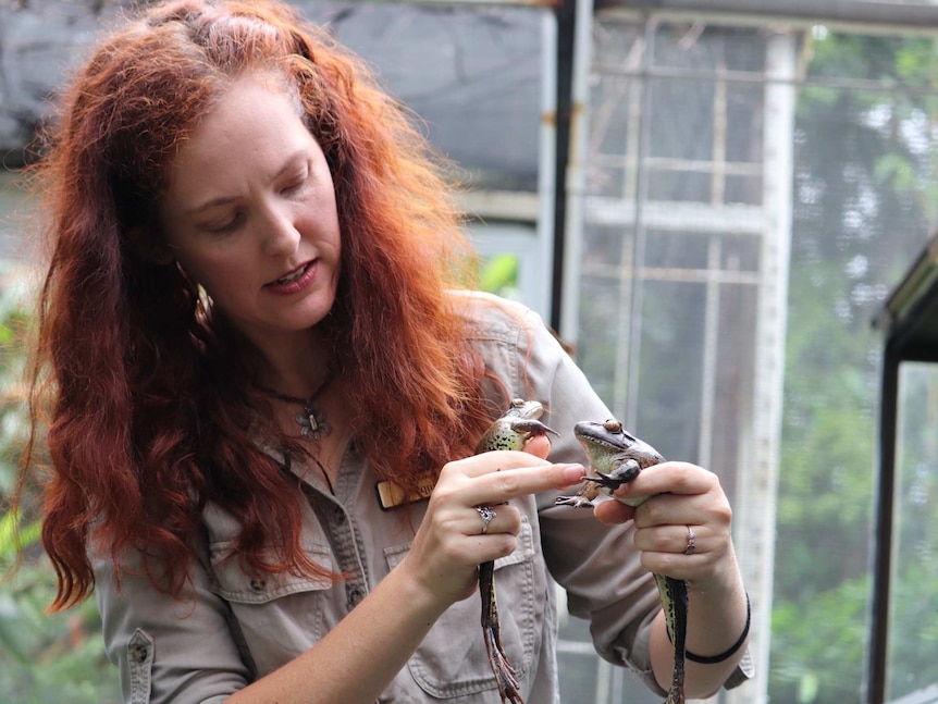 woman with red hair holding a frong in each hand