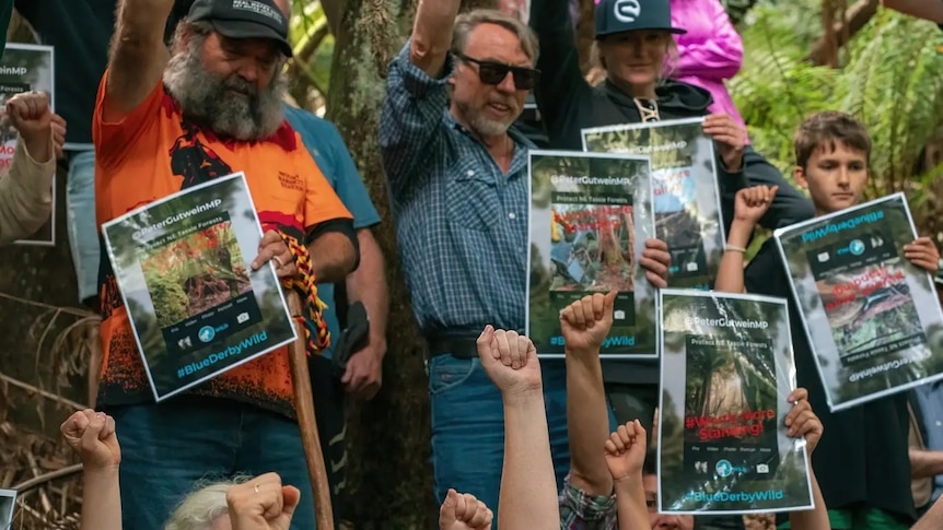 Anti-logging protesters with fists raised up in the air.
