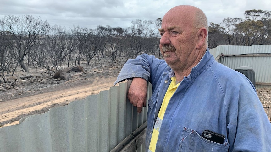 A bald man wearing a denim tracksuit looking over his fence towards burnt spindly trees