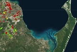 A map showing where macadamias are planted (in red), avocados (in green), and mangoes (in yellow).