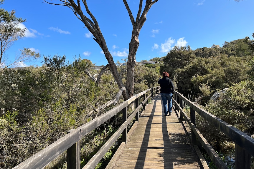 woman walks on a boardwalk