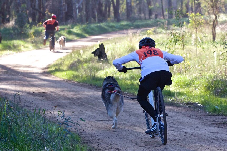 A racer bends down for speed