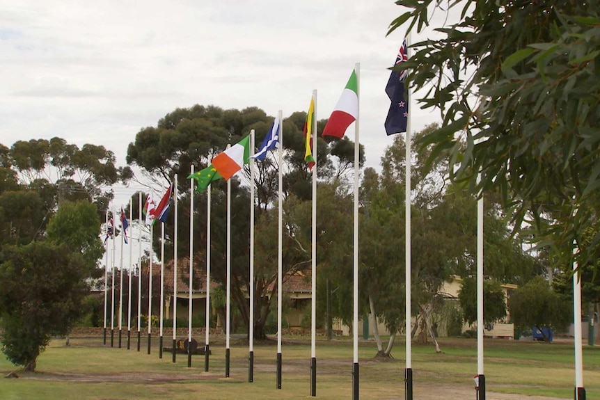 20 flag poles with various nation's flags stand in a line at Katanning Lions Park