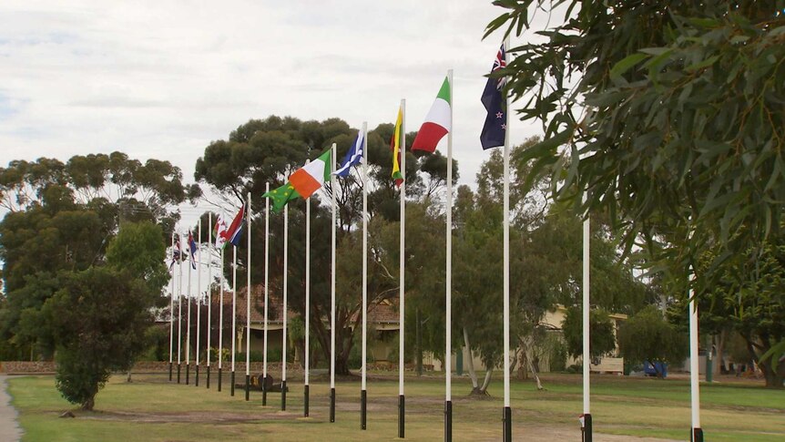 20 flag poles with various nation's flags stand in a line at Katanning Lions Park