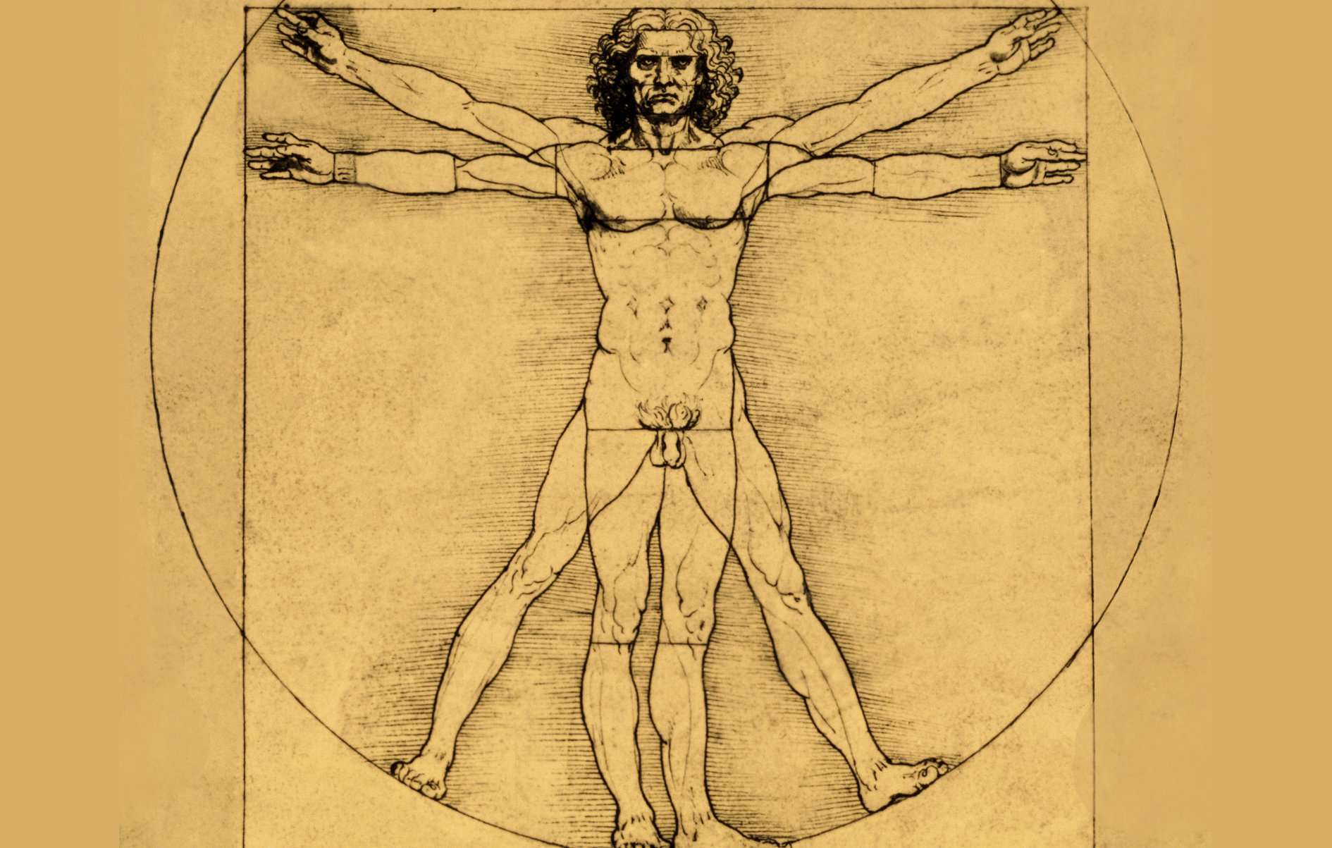 The posthuman - ABC listen