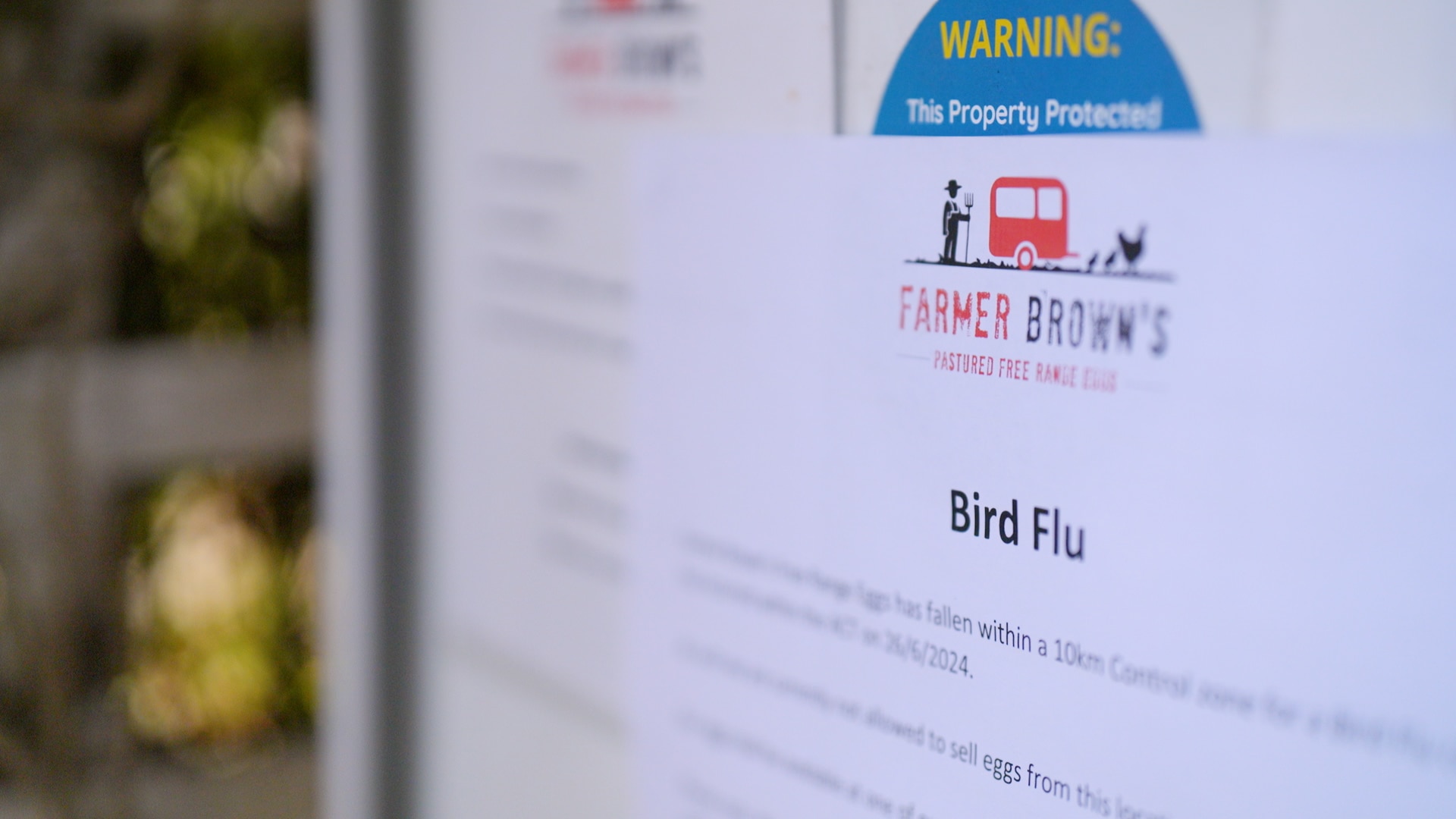Breaking: Third H5N1 bird flu case confirmed as virus found in South Australia
