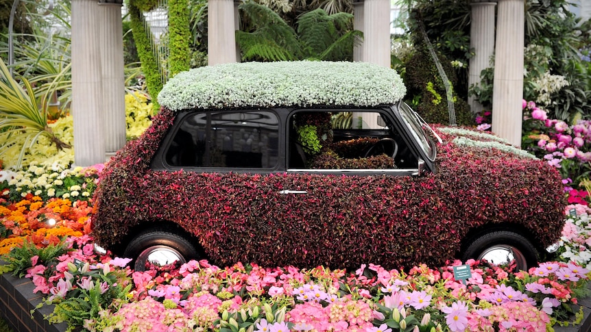 Flowers cover a Mini Cooper at the Chelsea Flower Show.
