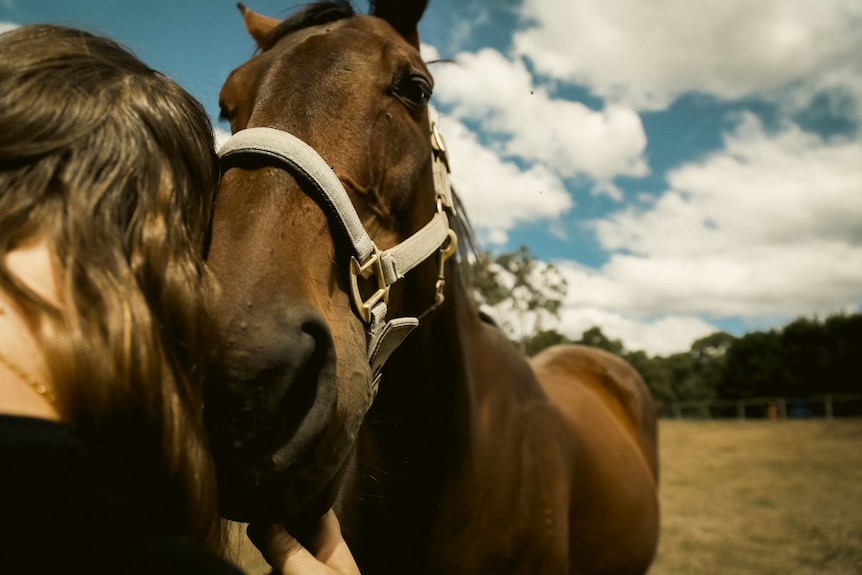 Amy turns her head to face a horse under a blue sky dotted with white clouds.