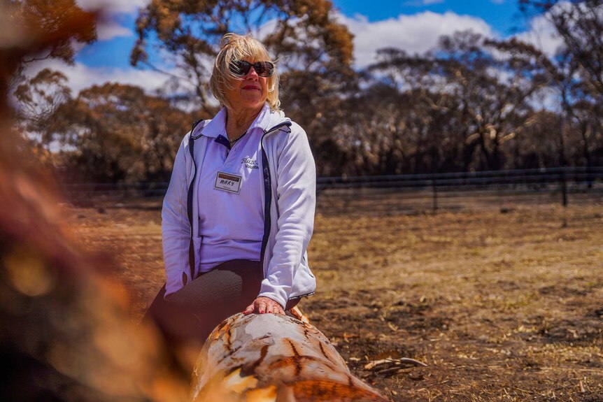 A blonde woman  wearing sunglasses sits on a fallen tree trunk, looking out over a burnt paddock.