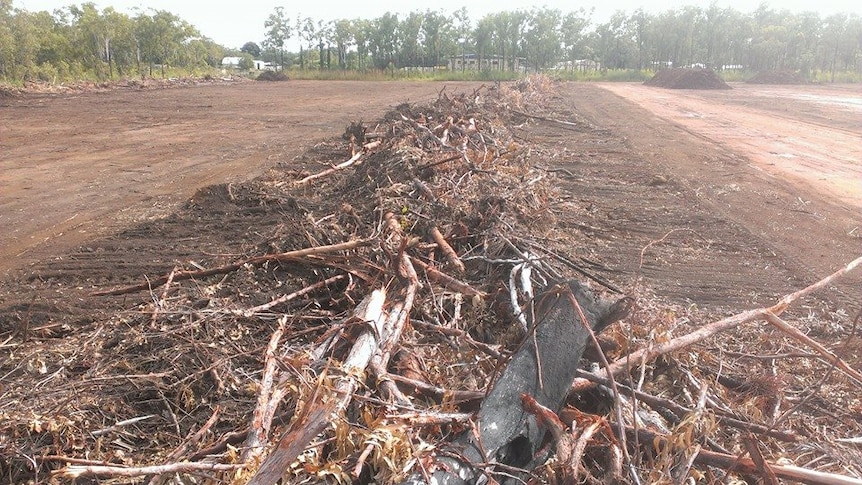 Clearing of land at Boulter Road, Darwin