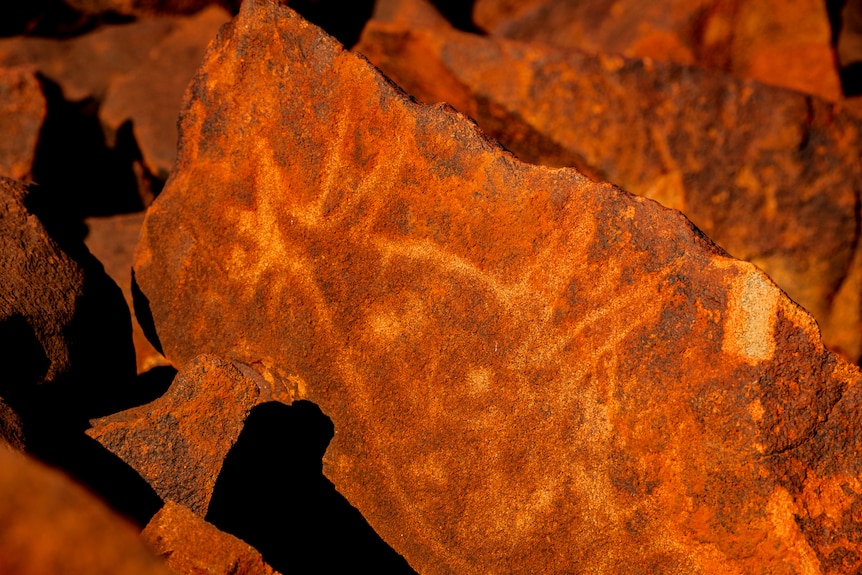 A rock carving in Murujuga, Western Australia, shows a kangaroo, on red rock.