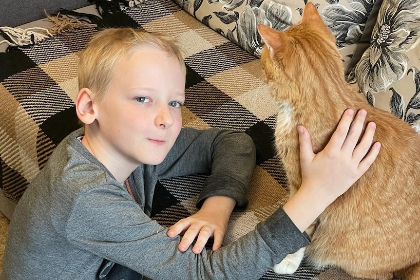 Young blond-haired boy wearing a grey shirt pats an orange cat on the couch.