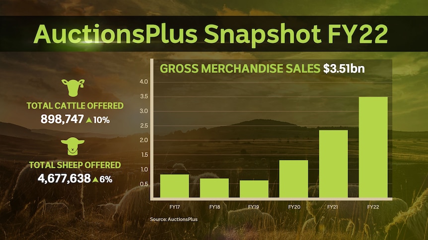 AuctionsPlus graph showing FY22 highlights