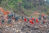 a large group of personnel dressed in camo and high-vis work gear search through a pile of rubble