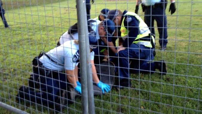 Protester arrested at Aboriginal tent embassy in Musgrave Park, South Brisbane.