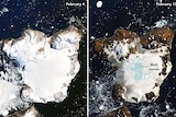 Two maps show Eagle Island, Antarctica nine days apart, one shows snow cover, the other green areas where the snow has melted.