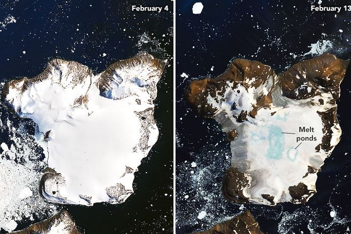 Two maps show Eagle Island, Antarctica nine days apart, one shows snow cover, the other green areas where the snow has melted.
