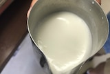 Milk in a jug