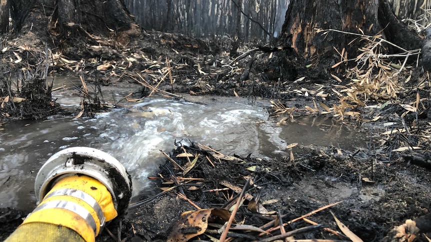 Water coming out of a fire hose.