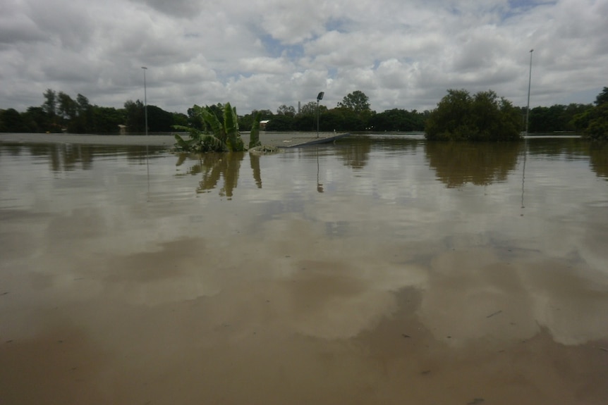 Water inundates a touch football field, covering the clubrooms to the roof line.