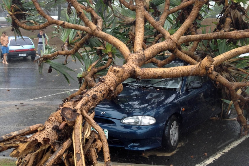 Car parked at Mooloolaba Beach