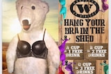 An ad for an Adelaide nightclub featuring a fake polar bear in a bra.