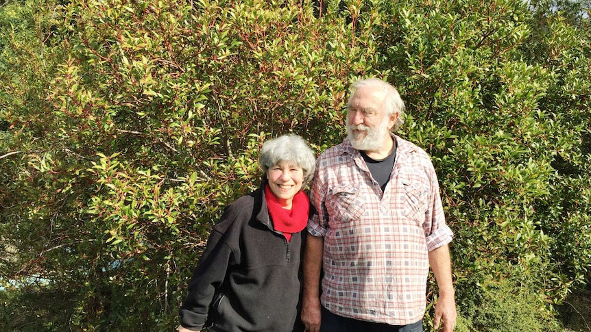 Leon Trembath and Cathy Trembath with a mountain pepper plant on their property in Victoria's Strzlecki Ranges.