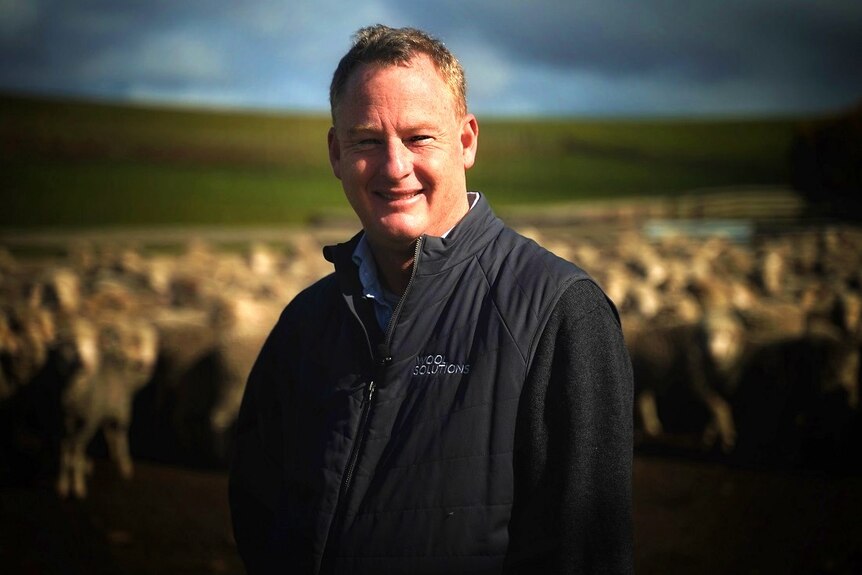 A middle-aged man stands in a paddock with sheep in the background