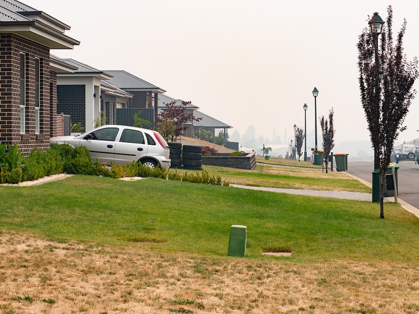 A shot of a residential street showing lawns out the front of houses, some dry, some lush and green.