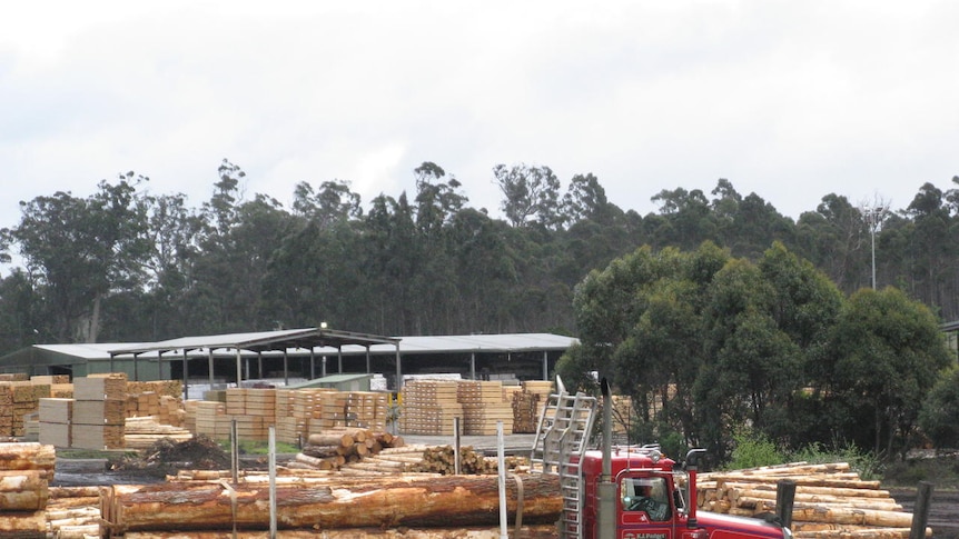A truck loaded with timber leaves a sawmill