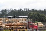 A truck loaded with timber leaves a sawmill