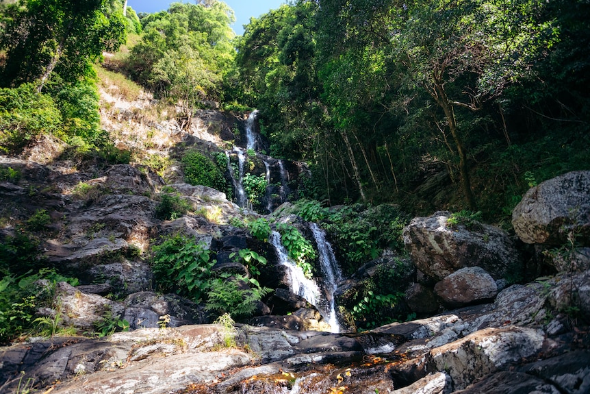 waterfall in rainforest