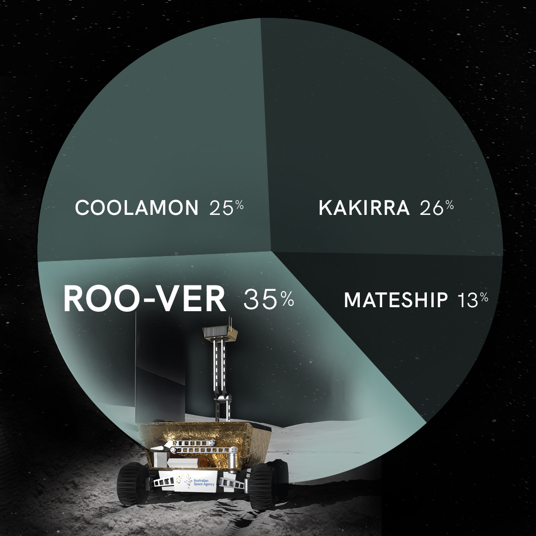 A pie chart imposed over an image of a lunar rover on the surface of the Moon. The chart shows four names and size of their vote