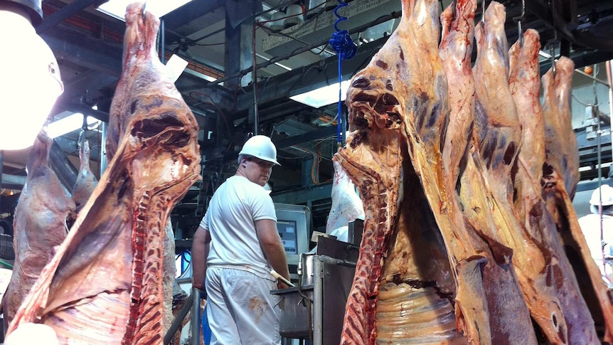 Inside the Bindaree Beef processing plant