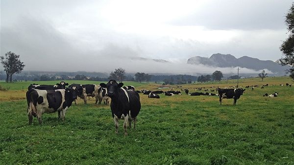 A dairy industry snapshot shows the Hunter and mid-north coast are the state's biggest milk producing areas.