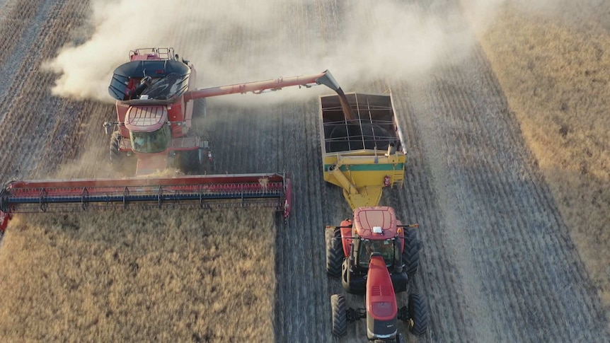 Drone photo of grain being harvested.