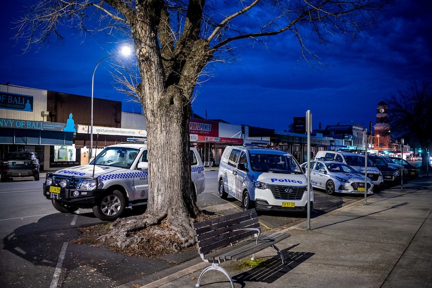 A row of police cars parked in a street at night.