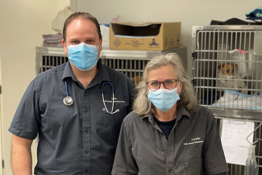 Two vets wearing face masks stand in front of cages.