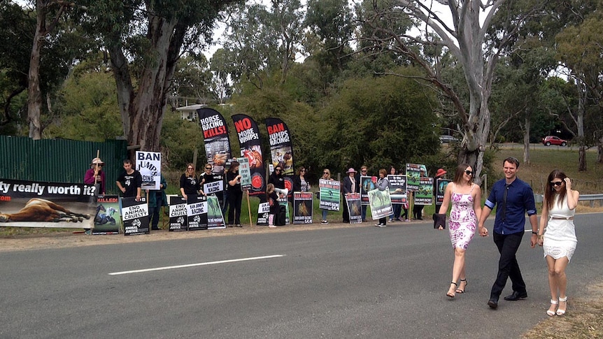 Racegoers walk past an anti-jumps racing protest outside Oakbank Racecourse.