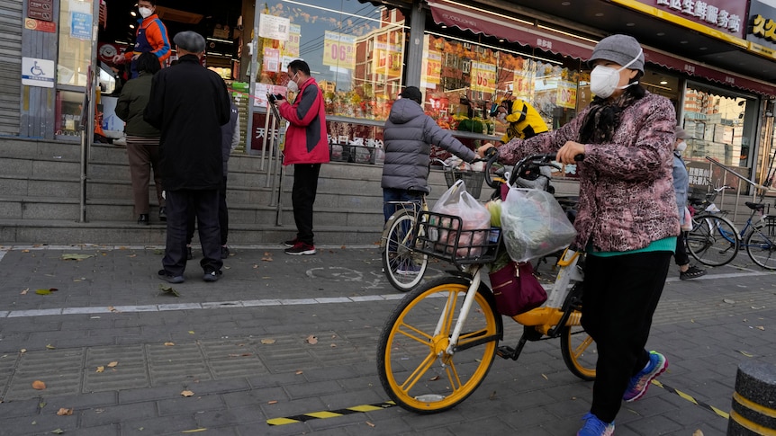 A woman walking beside a bicycle packed with grocery bags