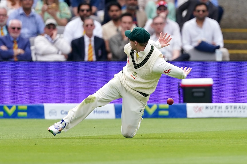Australia fielder Steve Smith drops a catch in the field during an Ashes Test at Lord's.