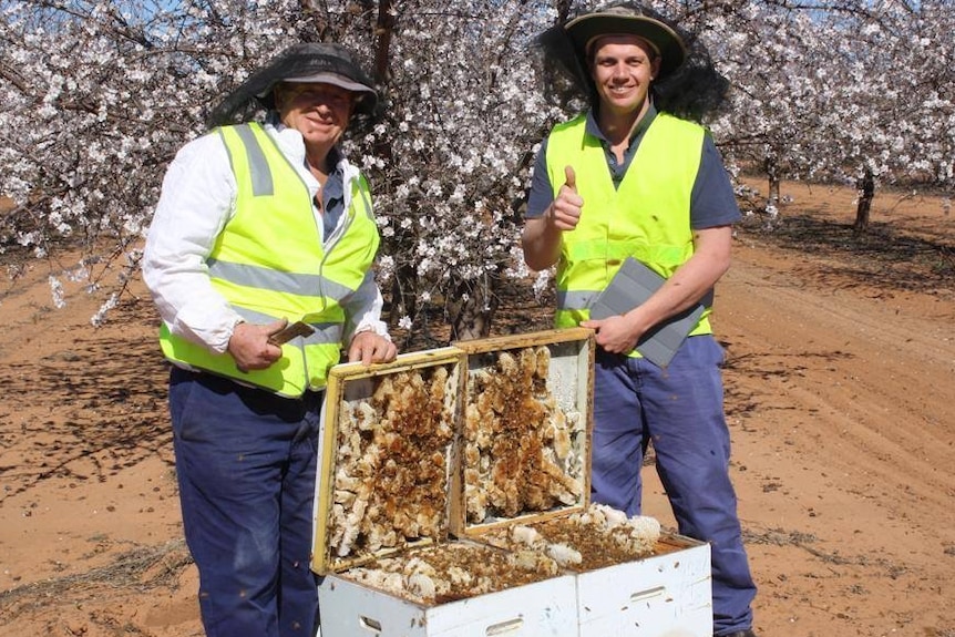 In 2013, Harold Saxvik (left) lost 500 hives to insecticide spray drift.