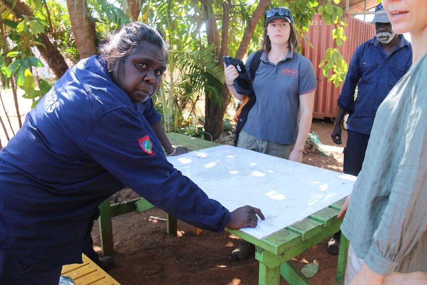 Thamurrur Rangers gathered around a map of the area with AMRICC staff before the dog and cat census.