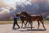 A man evacuates horses as a wildfire burns behind him. 