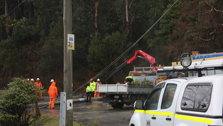 SES workers chainsawing power pole in Fern Tree.